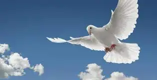الروح القدس والماء الحيّ